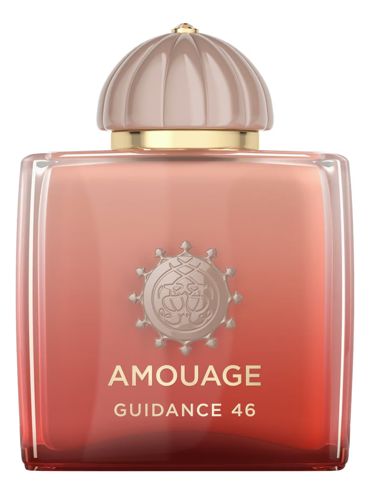 Guidance 46